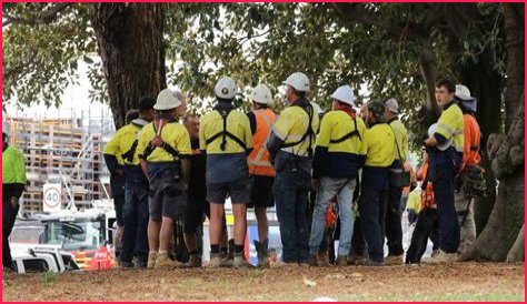 Construction Australia: Sydney builder Zadro in administration